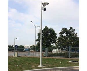 道路監(jiān)控桿-LB-05